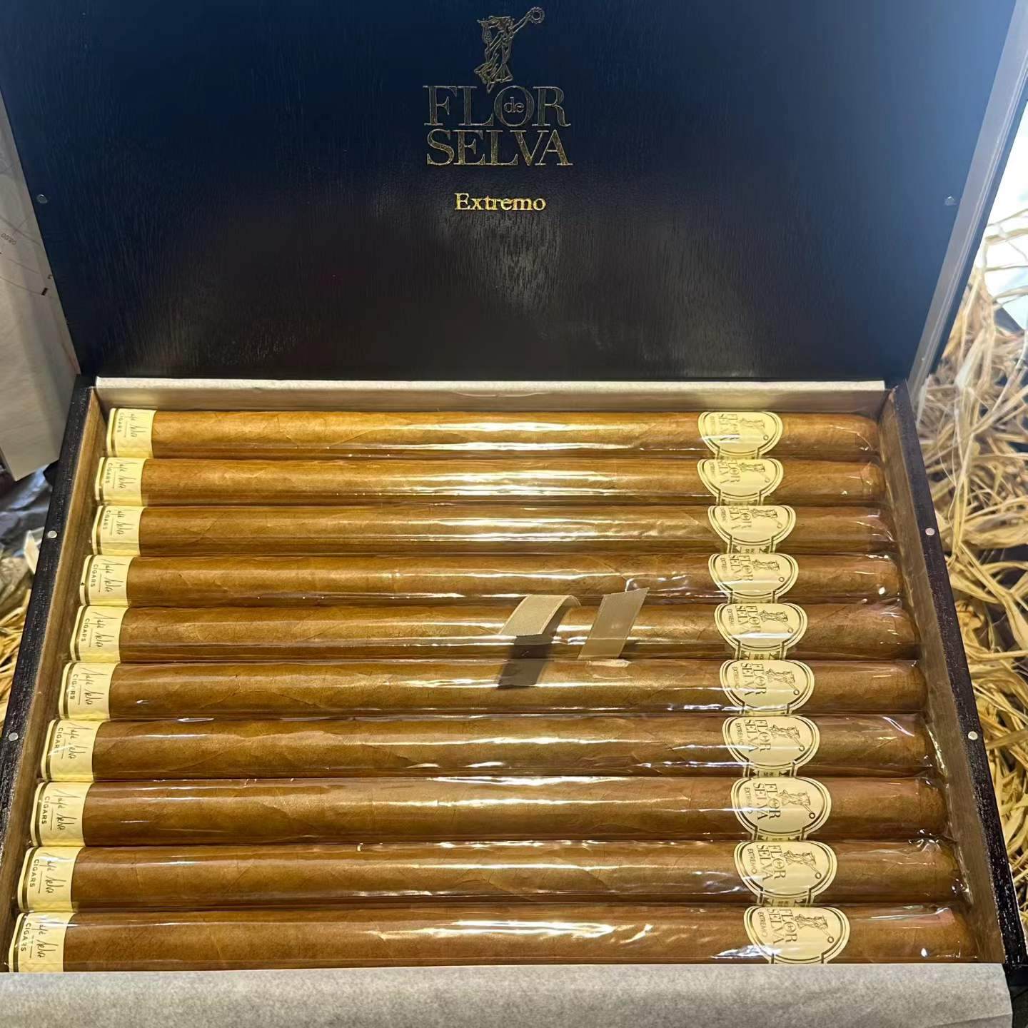 塞爾瓦之花EXTREMO極致10S